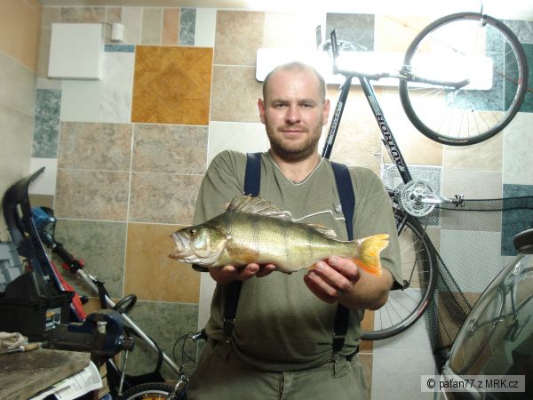 OKOUN  40 cm