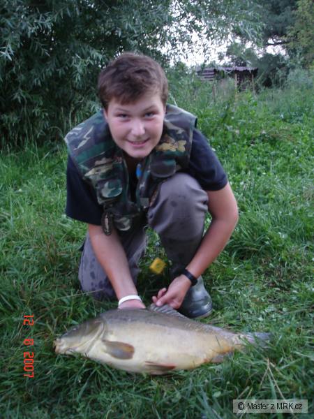 Carp 68cm