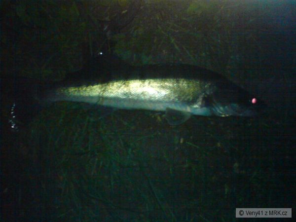 cand�t 50cm