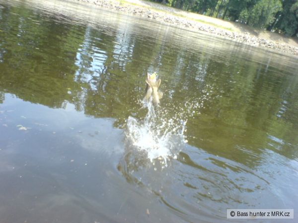 V jedn� ruce prut s rybou a v druh� fo��k,pohodi�ka...
