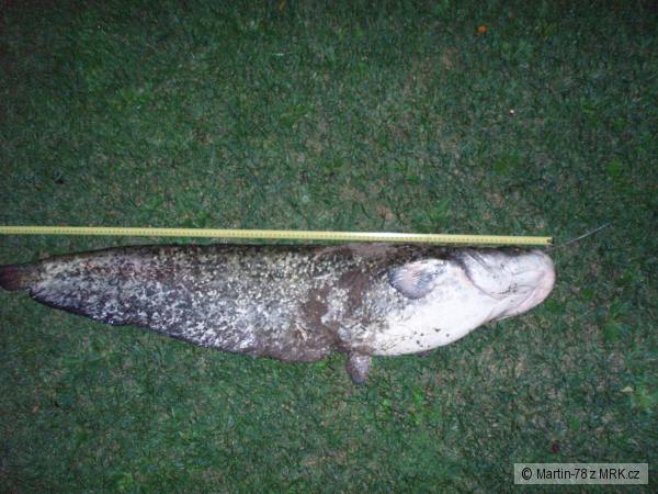 Sumec 123cm - 12,1kg