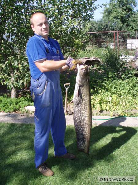 Sumec 123cm - 12,1kg