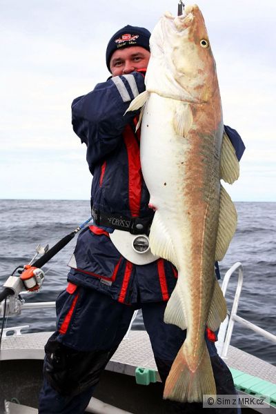 Treska obecn� 138cm 23.75kg Soroya