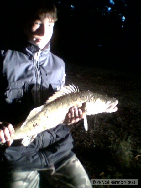 cando� 70 cm
