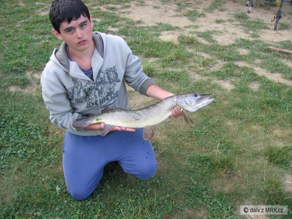 stika 80cm na dombase
