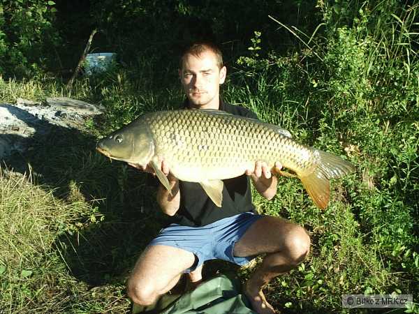 VN Z_Sirava 92cm 11,0kg