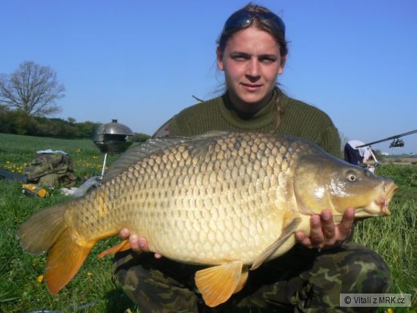81cm, 12,5kg