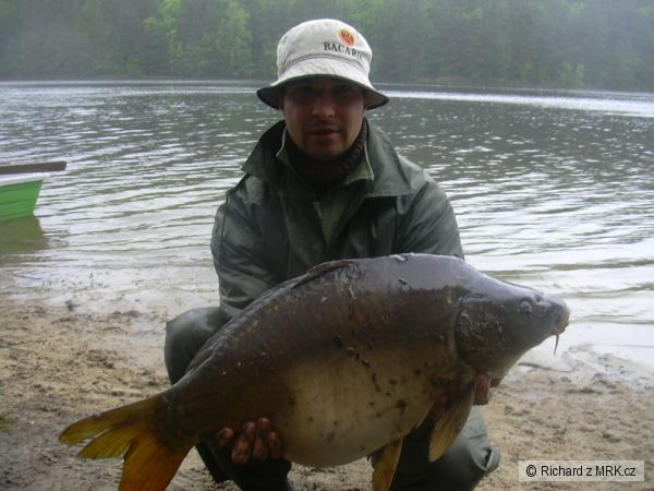 Jaro 2008, Jiho�esk� kraj