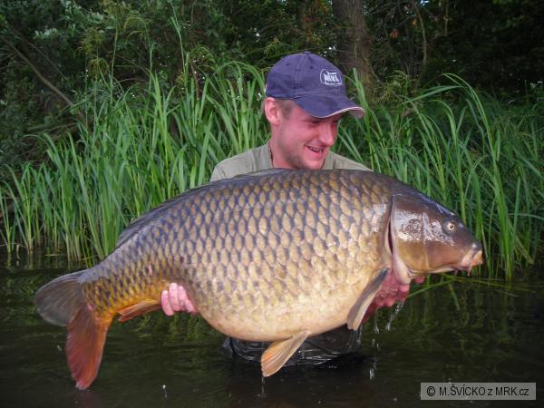 hejlov 21,10 kg