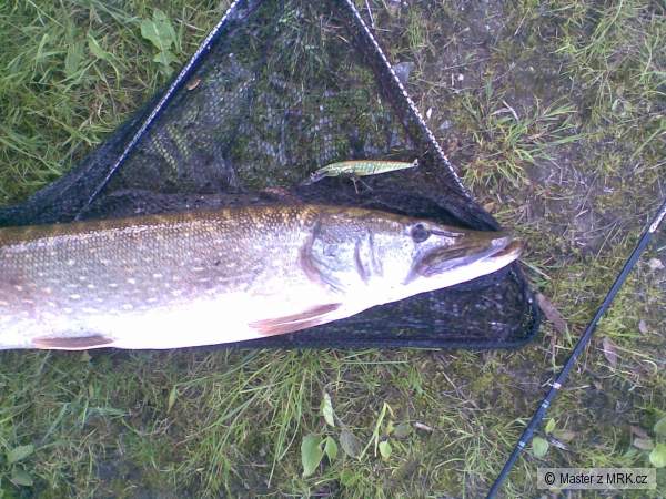�eplice 94cm