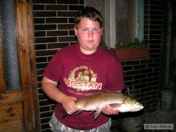 prvn� amur