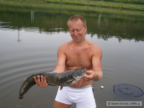T�M TO ZA�ALO SUM�K 71 CM