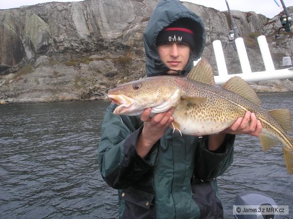 Hitra Fishing