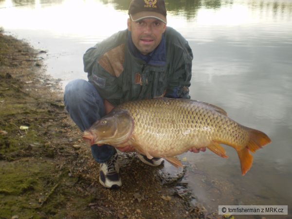 kapr 98cm, 16,5 kg