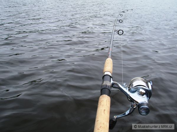 Troling