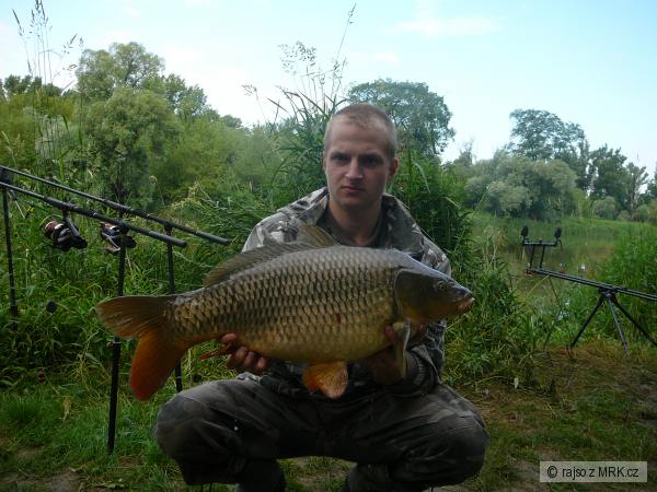 Kapor rybni�n� 82cm 9,6 kg