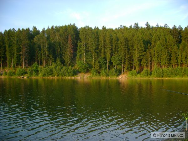 Slezsk� Harta - ,,Zatopen� louka