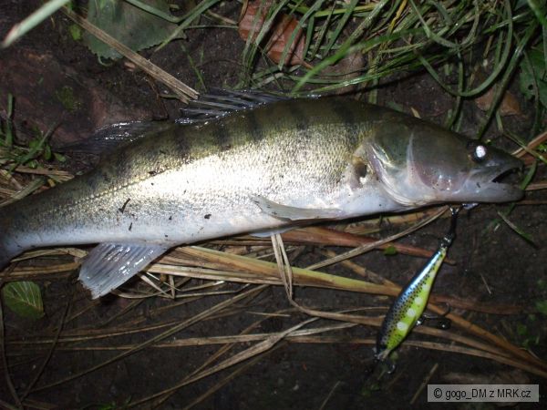 Candat-rapala
