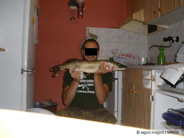 �tika 63cm