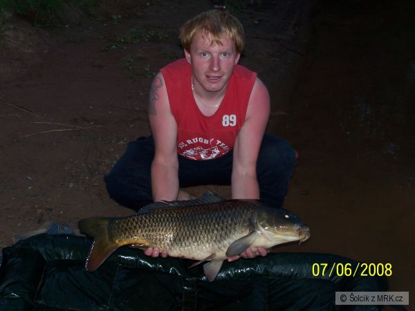 Kapr obecn�-76cm,7.5kg