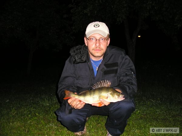 Okounek 38cm S�ZAVA 