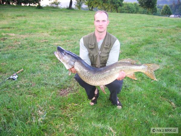 �tika 115cm