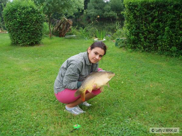 kapr 56 s Jan�