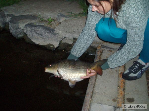 svoboda...