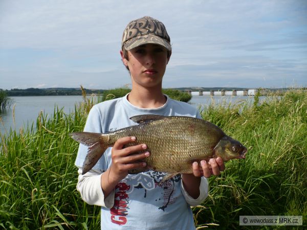Cejn 65Cm