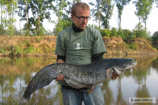 sumec 120cm