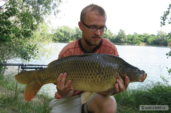 kapr 73cm