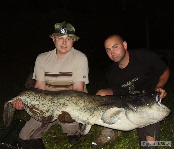 sumec 192 cm, 40 kg