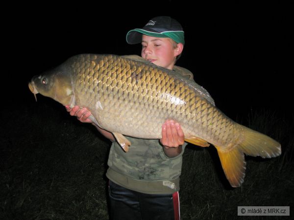 92cm, 14kg