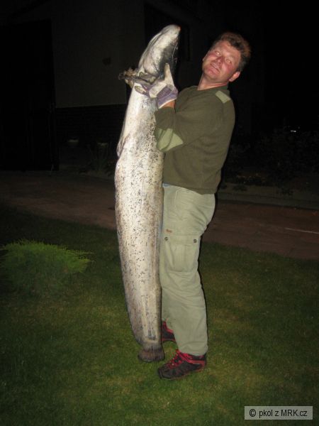 Sumec 180 cm