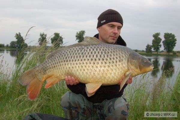 10.40 kg - 83 cm