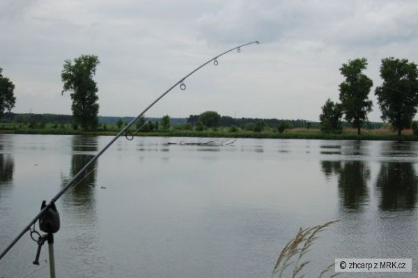bordel na vod�
