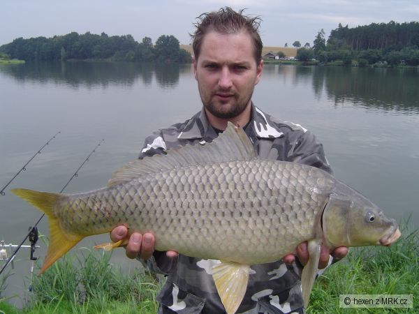 Ded�n� 2008