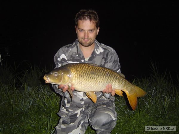 De�n� 2008