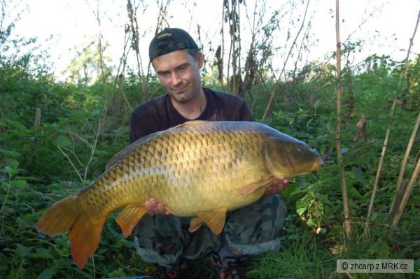 13.80 kg
