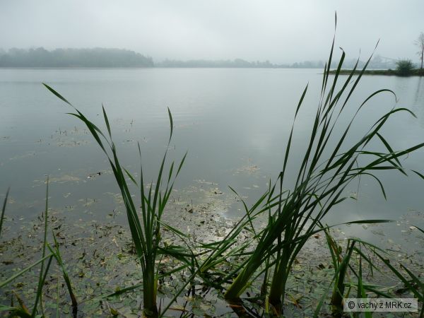 Tova�ov