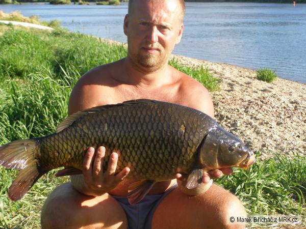 kapr 7 kg