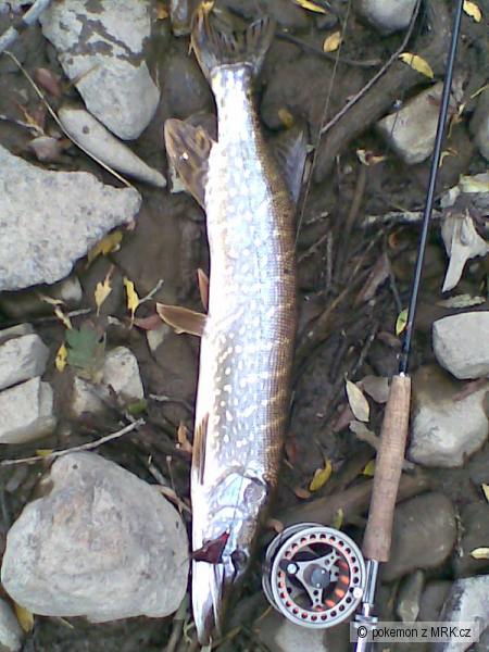stika
