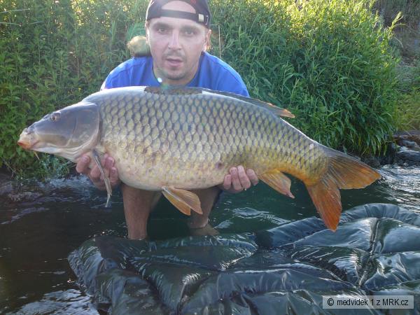 D5-kapr 87cm a 12.6kg