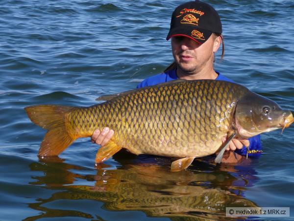 D5-kapr 87cm a 12.6kg