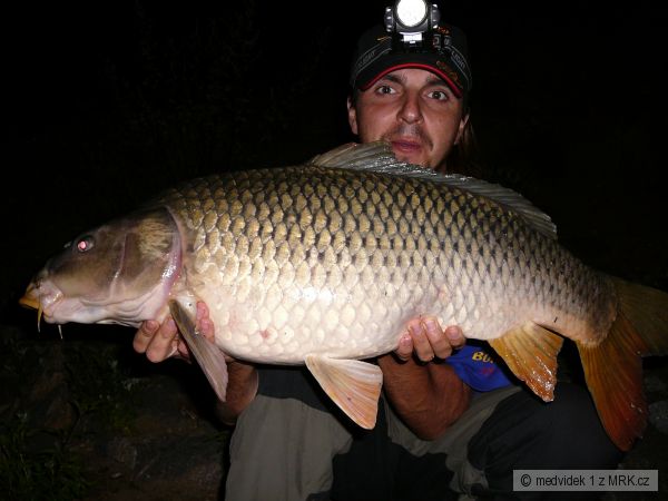 D5-kapr 84cm a 10kg