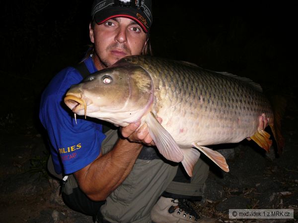 D5-kapr 84cm a 10kg