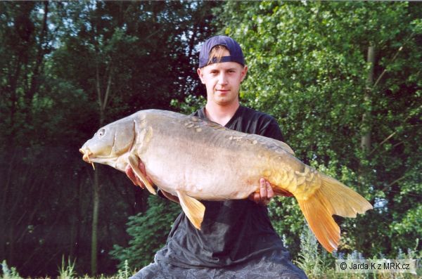 lysec 98cm 16 kg