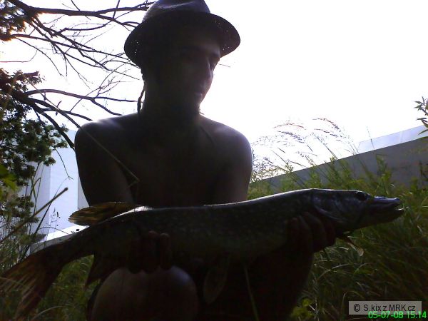 63 cm