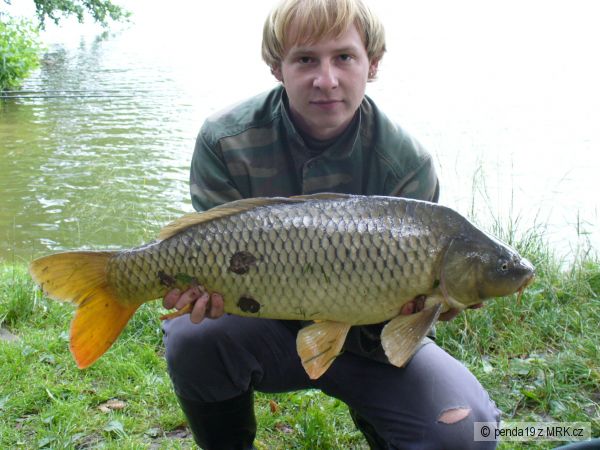 kap��k 83cm