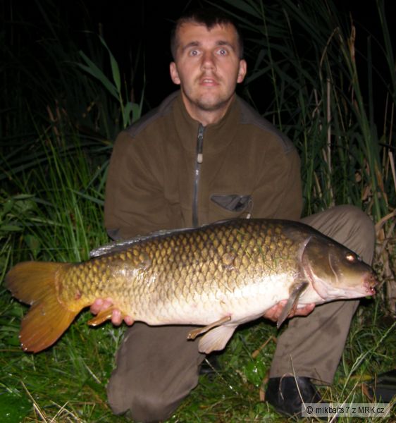 kapr�k ktor� pote�� 83cm-10,3kg.